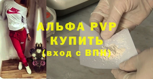 молекула духа Бородино