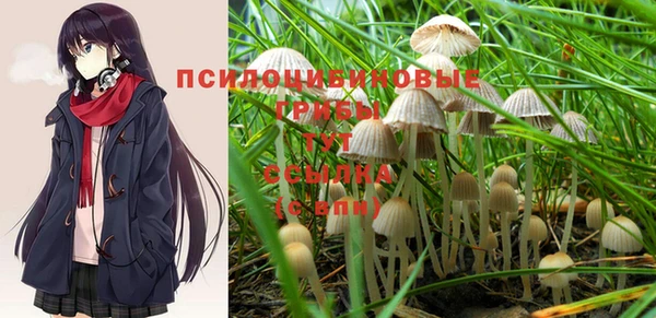 молекула духа Бородино