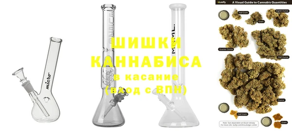 мдпв Бронницы