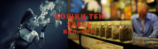 сатива Верея