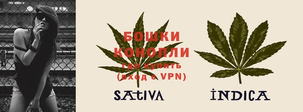 молекула духа Бородино