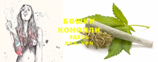 сатива Верея