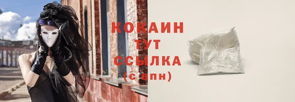 мдпв Бронницы