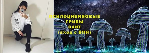 дживик Бугульма