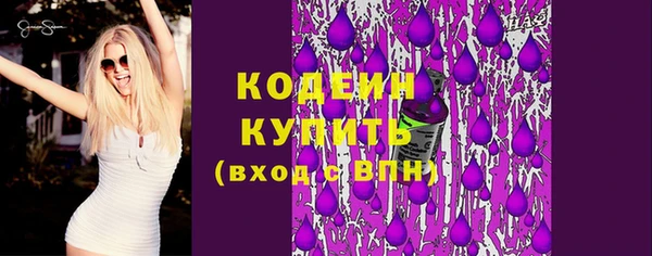 молекула духа Бородино