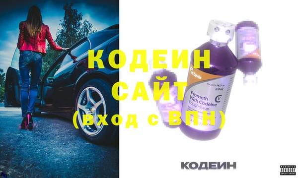 молекула духа Бородино