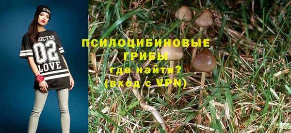 apvp Верхний Тагил