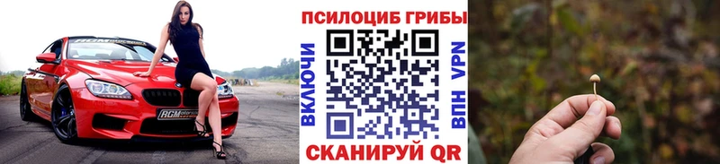 Псилоцибиновые грибы Cubensis  Рубцовск 